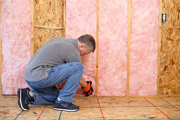 Best Residential Insulation in Vineyards, FL